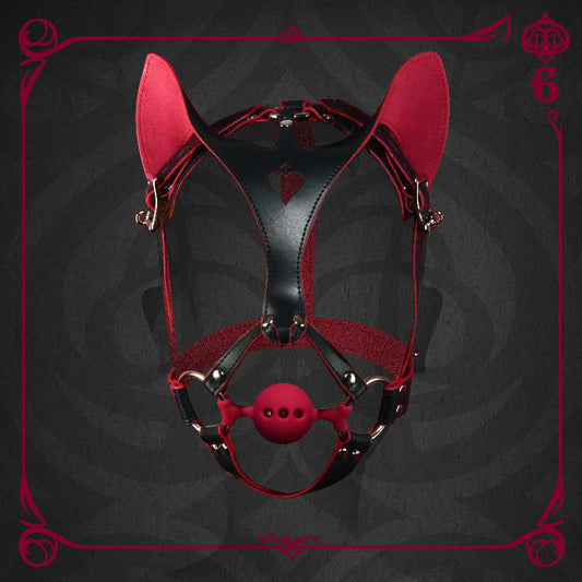 Cat Face Leather Restraint Mask With Ball Gag